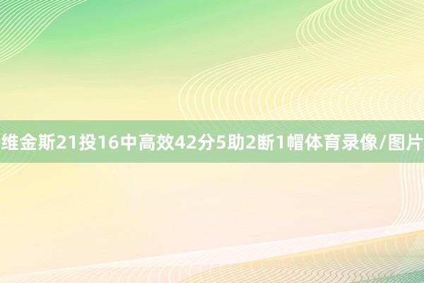 维金斯21投16中高效42分5助2断1帽体育录像/图片