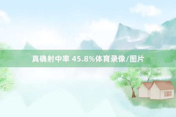 真确射中率 45.8%体育录像/图片