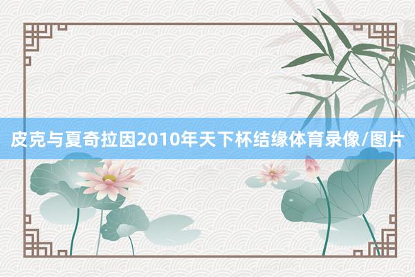 皮克与夏奇拉因2010年天下杯结缘体育录像/图片