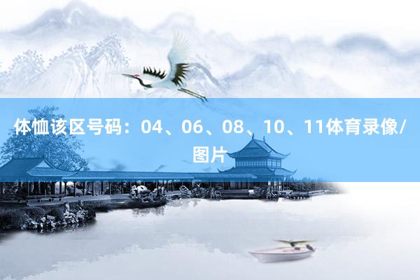 体恤该区号码：04、06、08、10、11体育录像/图片