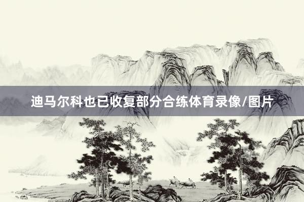 迪马尔科也已收复部分合练体育录像/图片
