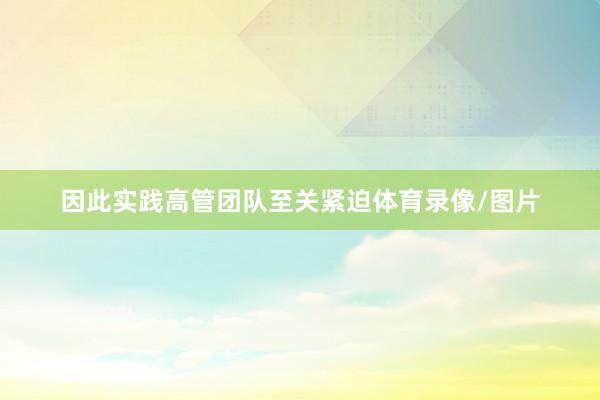 因此实践高管团队至关紧迫体育录像/图片
