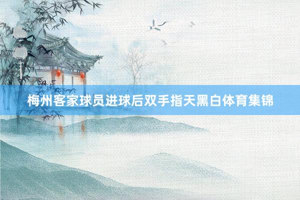 梅州客家球员进球后双手指天黑白体育集锦