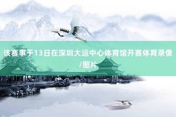 该赛事于13日在深圳大运中心体育馆开赛体育录像/图片