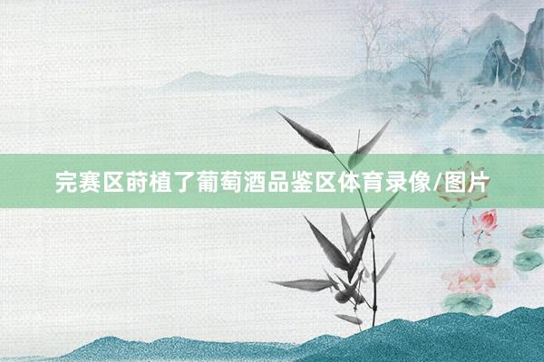完赛区莳植了葡萄酒品鉴区体育录像/图片