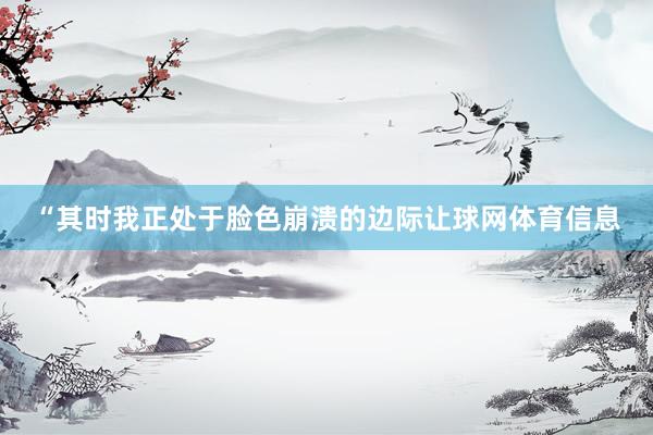 “其时我正处于脸色崩溃的边际让球网体育信息