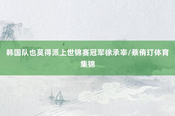 韩国队也莫得派上世锦赛冠军徐承宰/蔡侑玎体育集锦