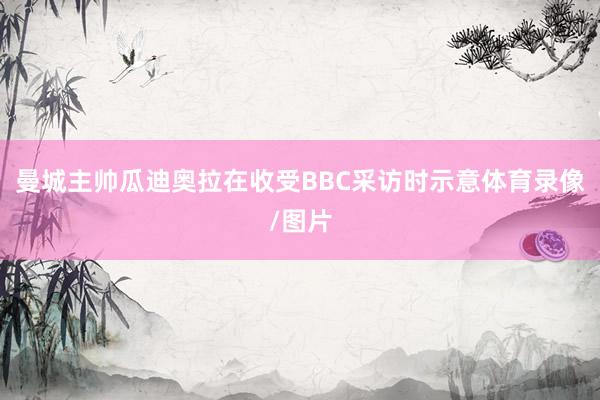 曼城主帅瓜迪奥拉在收受BBC采访时示意体育录像/图片