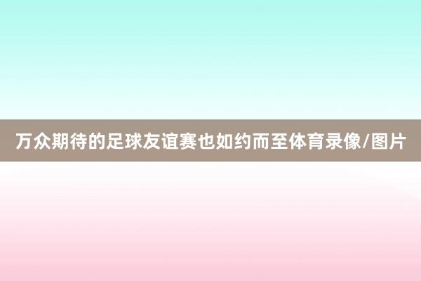 万众期待的足球友谊赛也如约而至体育录像/图片