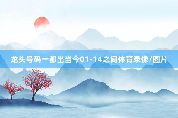 龙头号码一都出当今01-14之间体育录像/图片