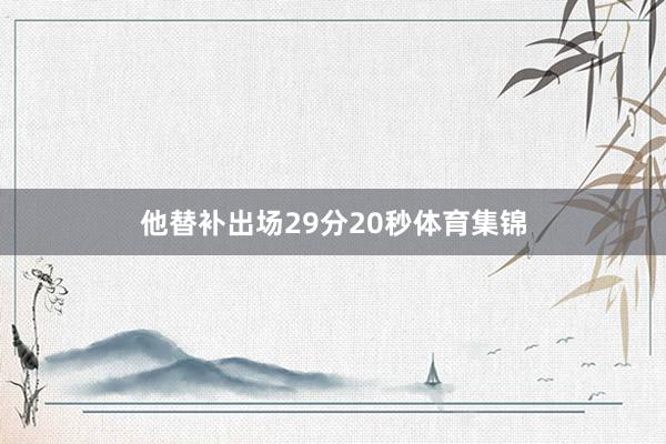 他替补出场29分20秒体育集锦