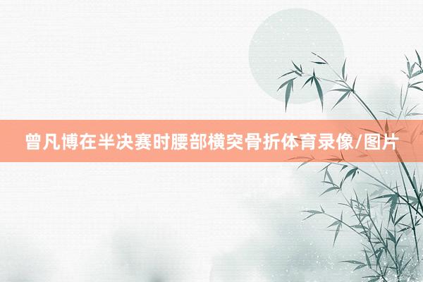 曾凡博在半决赛时腰部横突骨折体育录像/图片