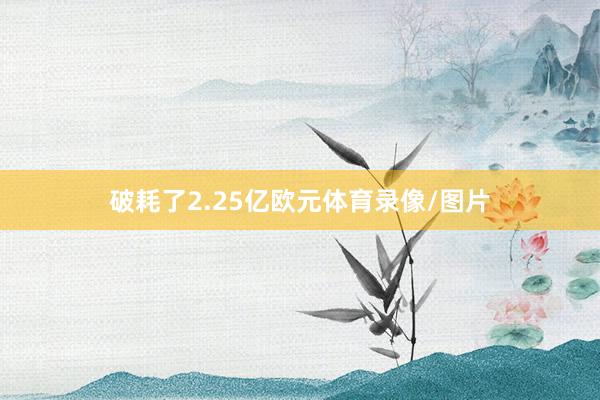 破耗了2.25亿欧元体育录像/图片