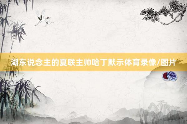 湖东说念主的夏联主帅哈丁默示体育录像/图片