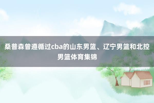 桑普森曾遵循过cba的山东男篮、辽宁男篮和北控男篮体育集锦