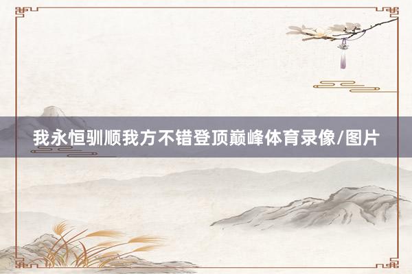 我永恒驯顺我方不错登顶巅峰体育录像/图片