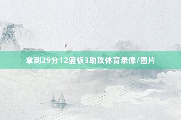 拿到29分12篮板3助攻体育录像/图片