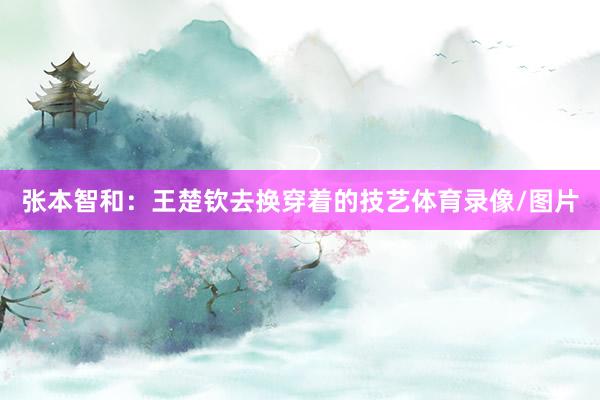 张本智和：王楚钦去换穿着的技艺体育录像/图片