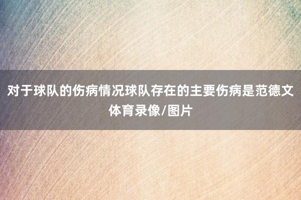 对于球队的伤病情况球队存在的主要伤病是范德文体育录像/图片