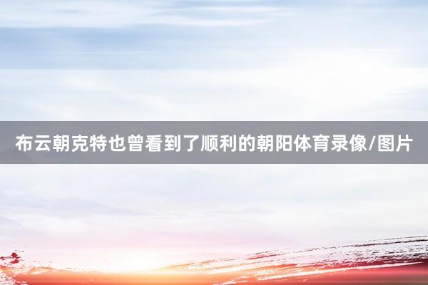 布云朝克特也曾看到了顺利的朝阳体育录像/图片