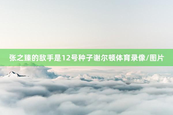 张之臻的敌手是12号种子谢尔顿体育录像/图片