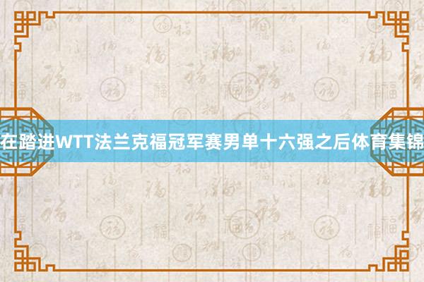 在踏进WTT法兰克福冠军赛男单十六强之后体育集锦