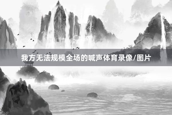 我方无法规模全场的喊声体育录像/图片