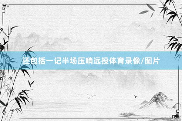 还包括一记半场压哨远投体育录像/图片