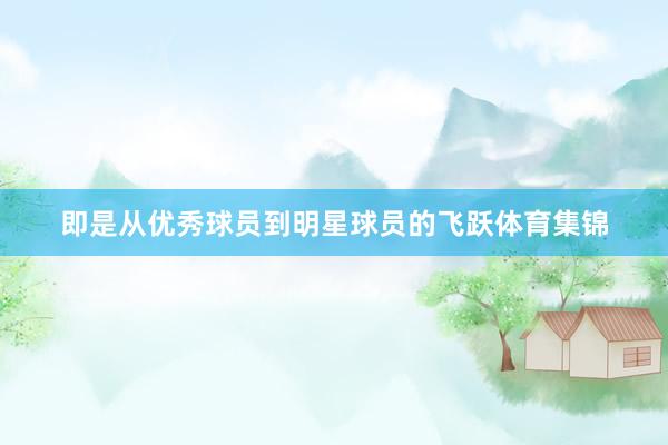 即是从优秀球员到明星球员的飞跃体育集锦