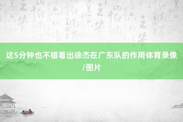这5分钟也不错看出徐杰在广东队的作用体育录像/图片