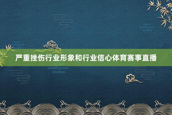 严重挫伤行业形象和行业信心体育赛事直播