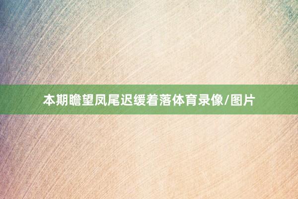 本期瞻望凤尾迟缓着落体育录像/图片