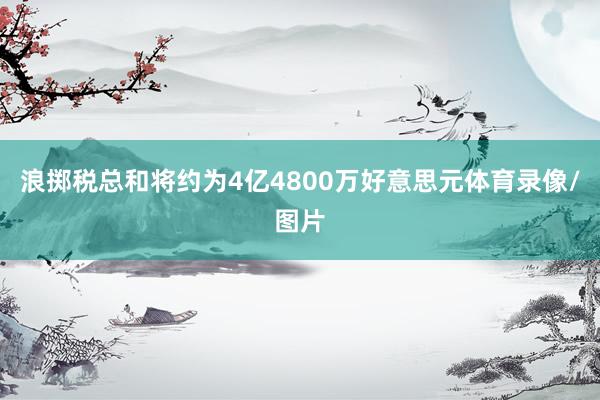 浪掷税总和将约为4亿4800万好意思元体育录像/图片
