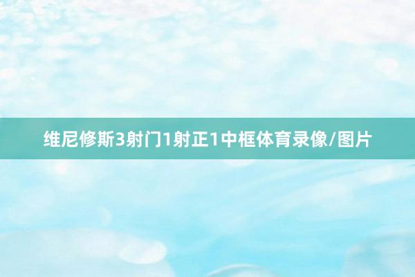 维尼修斯3射门1射正1中框体育录像/图片