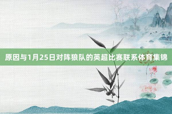 原因与1月25日对阵狼队的英超比赛联系体育集锦