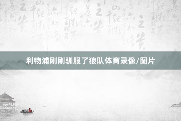 利物浦刚刚驯服了狼队体育录像/图片
