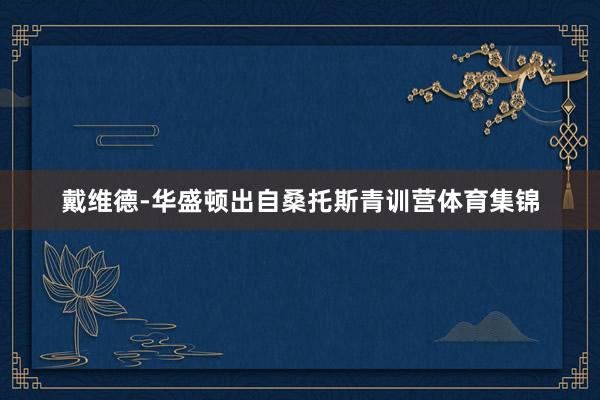 戴维德-华盛顿出自桑托斯青训营体育集锦