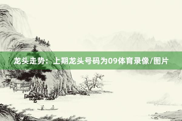 龙头走势：上期龙头号码为09体育录像/图片