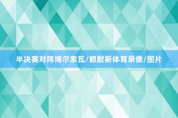 半决赛对阵博尔索瓦/赖默斯体育录像/图片