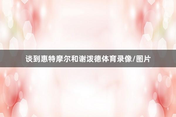 谈到惠特摩尔和谢泼德体育录像/图片