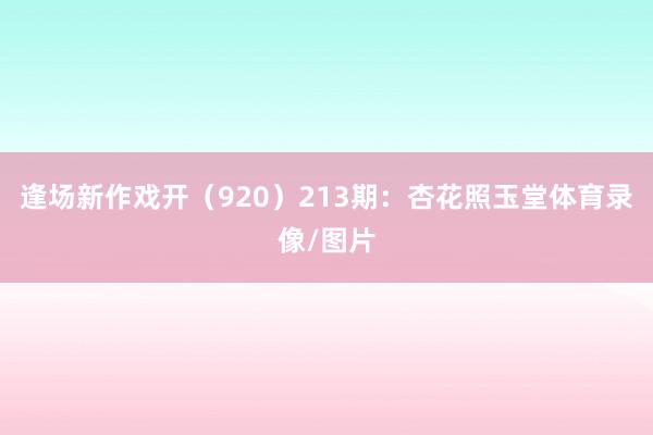 逢场新作戏开(920) 213期:杏花照玉堂体育录像/图片
