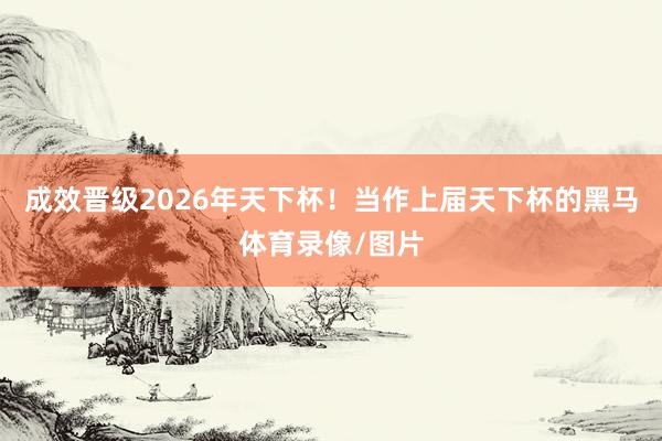 成效晋级2026年天下杯！当作上届天下杯的黑马体育录像/图片