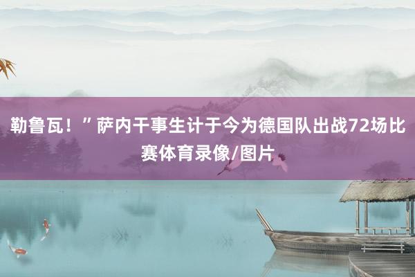 勒鲁瓦！”萨内干事生计于今为德国队出战72场比赛体育录像/图片
