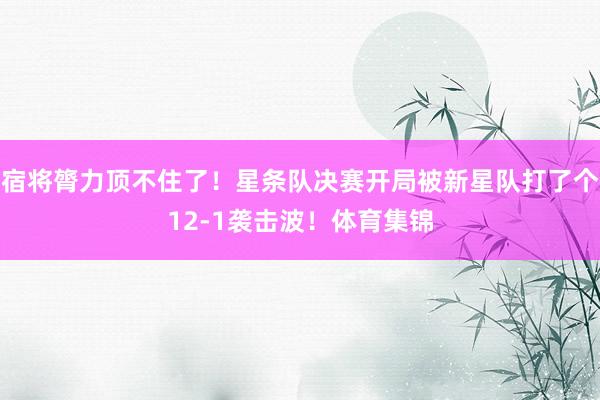 宿将膂力顶不住了!星条队决赛开局被新星队打了个12-1袭击波!体育集锦