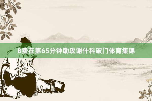 B费在第65分钟助攻谢什科破门体育集锦